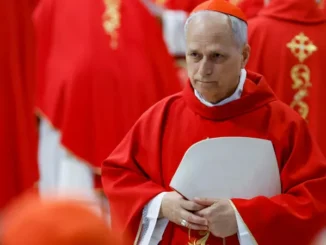 Who is Pope Leo XIV, the new Catholic Pope?